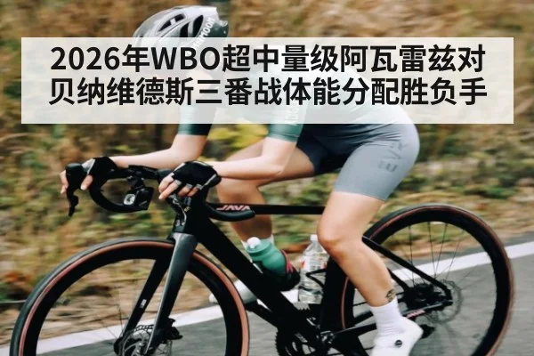2026年WBO超中量级阿瓦雷兹对贝纳维德斯三番战体能分配胜负手